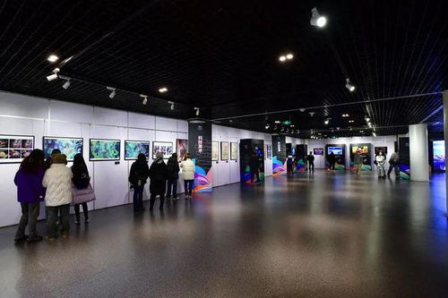天津市大学生科技美术设计创新作品大赛优秀作品展开幕 科技与艺术的跨界共鸣