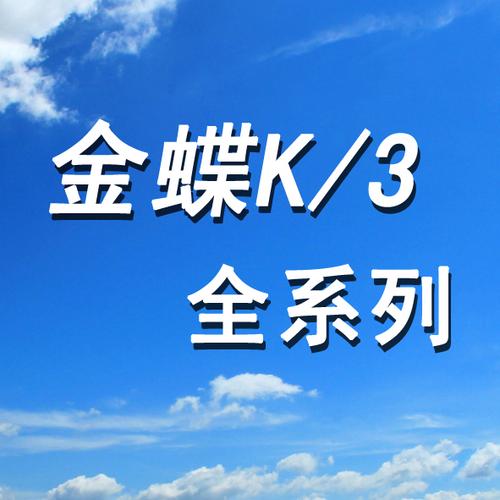 天津市金蝶网络科技